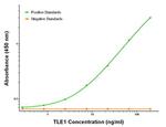 TLE1 Antibody in ELISA (ELISA)