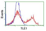 TLE1 Antibody in Flow Cytometry (Flow)