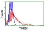 TMED1 Antibody in Flow Cytometry (Flow)