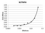 TNF alpha Antibody in ELISA (ELISA)