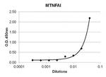 TNF alpha Antibody in ELISA (ELISA)