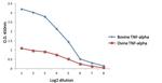 TNF alpha Antibody in ELISA (ELISA)