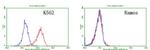 TNFRSF8 Antibody in Flow Cytometry (Flow)