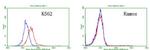 TNFRSF8 Antibody in Flow Cytometry (Flow)