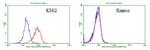 TNFRSF8 Antibody in Flow Cytometry (Flow)