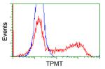 TPMT Antibody in Flow Cytometry (Flow)