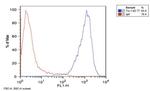 TRA-1-60 Antibody in Flow Cytometry (Flow)