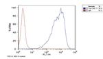 TRA-1-60 Antibody in Flow Cytometry (Flow)