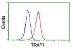 TRAP1 Antibody in Flow Cytometry (Flow)