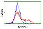 TRAPPC4 Antibody in Flow Cytometry (Flow)