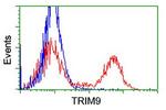 TRIM9 Antibody in Flow Cytometry (Flow)