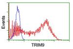 TRIM9 Antibody in Flow Cytometry (Flow)