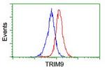 TRIM9 Antibody in Flow Cytometry (Flow)