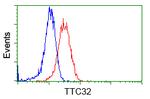 TTC32 Antibody in Flow Cytometry (Flow)