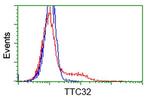 TTC32 Antibody in Flow Cytometry (Flow)