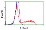 TTC32 Antibody in Flow Cytometry (Flow)