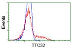 TTC32 Antibody in Flow Cytometry (Flow)