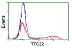 TTC32 Antibody in Flow Cytometry (Flow)