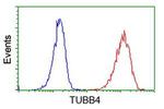 TUBB4 Antibody in Flow Cytometry (Flow)