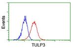 TULP3 Antibody in Flow Cytometry (Flow)