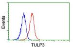 TULP3 Antibody in Flow Cytometry (Flow)