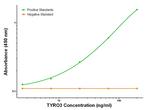 TYRO3 Antibody in ELISA (ELISA)