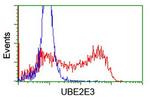 UBE2E3 Antibody in Flow Cytometry (Flow)