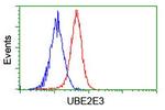 UBE2E3 Antibody in Flow Cytometry (Flow)