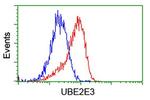 UBE2E3 Antibody in Flow Cytometry (Flow)