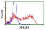 UBE2E3 Antibody in Flow Cytometry (Flow)