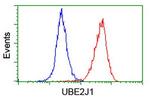 UBE2J1 Antibody in Flow Cytometry (Flow)