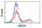 UBE2S Antibody in Flow Cytometry (Flow)