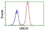 UBE2S Antibody in Flow Cytometry (Flow)