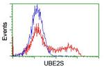 UBE2S Antibody in Flow Cytometry (Flow)