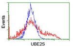 UBE2S Antibody in Flow Cytometry (Flow)