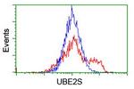 UBE2S Antibody in Flow Cytometry (Flow)