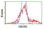 UBOX5 Antibody in Flow Cytometry (Flow)