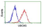 UBOX5 Antibody in Flow Cytometry (Flow)