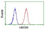 UBOX5 Antibody in Flow Cytometry (Flow)