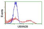 UBXN2B Antibody in Flow Cytometry (Flow)