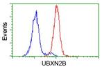 UBXN2B Antibody in Flow Cytometry (Flow)