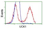 UCK1 Antibody in Flow Cytometry (Flow)