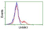 UHMK1 Antibody in Flow Cytometry (Flow)