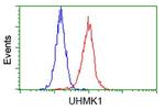 UHMK1 Antibody in Flow Cytometry (Flow)