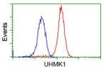 UHMK1 Antibody in Flow Cytometry (Flow)