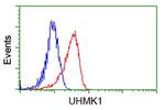 UHMK1 Antibody in Flow Cytometry (Flow)