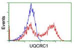 UQCRC1 Antibody in Flow Cytometry (Flow)