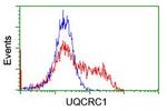 UQCRC1 Antibody in Flow Cytometry (Flow)