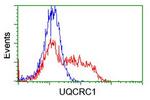 UQCRC1 Antibody in Flow Cytometry (Flow)