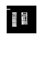 USP17L2 Antibody in Western Blot (WB)